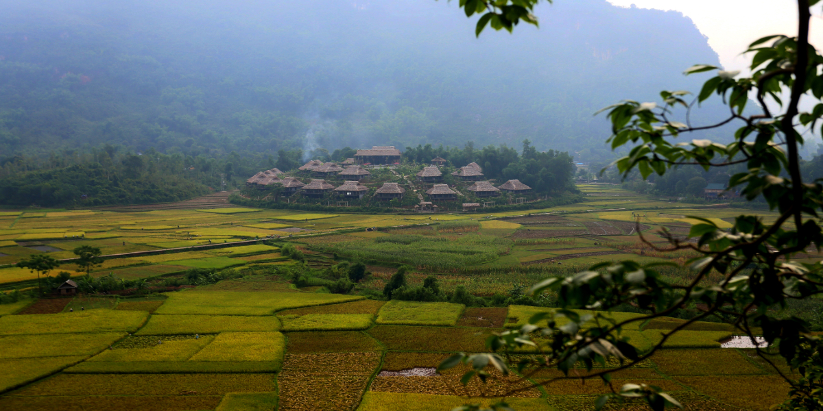 The Green culture circle of Ninh Binh - Hoa Binh